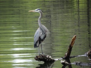 2013 state park DSC00165