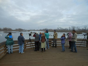 The Redbud group at Colusa_sm