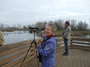 Counting Birds